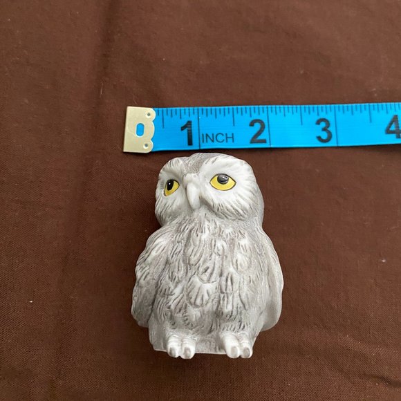 Owl in cactus home - Picture 7 of 7